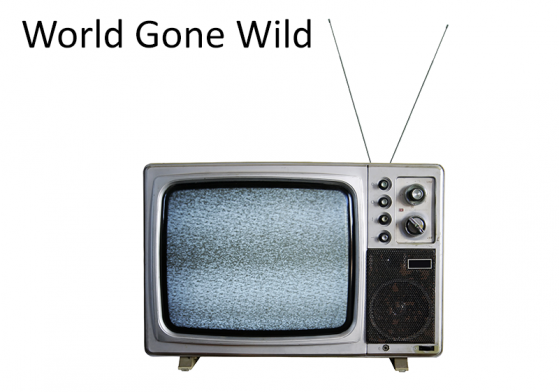 World Gone Wild