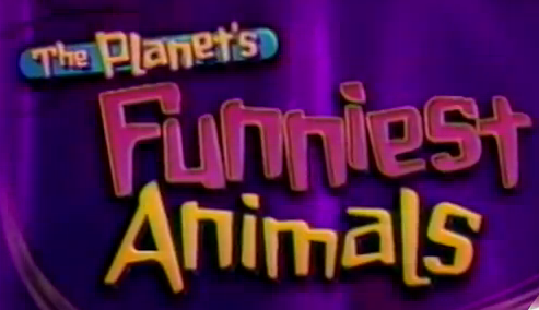 The Planet's Funniest Animals
