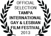 Official Selection Tampa International Gay and Lesbian Film Festival 2013